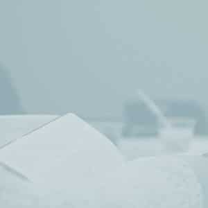 April 4/5 Different Kind of King