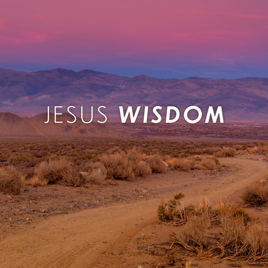 Jesus Wisdom