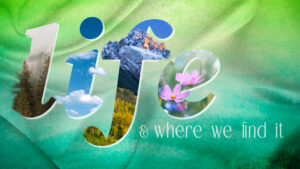 Life and Where We Find It